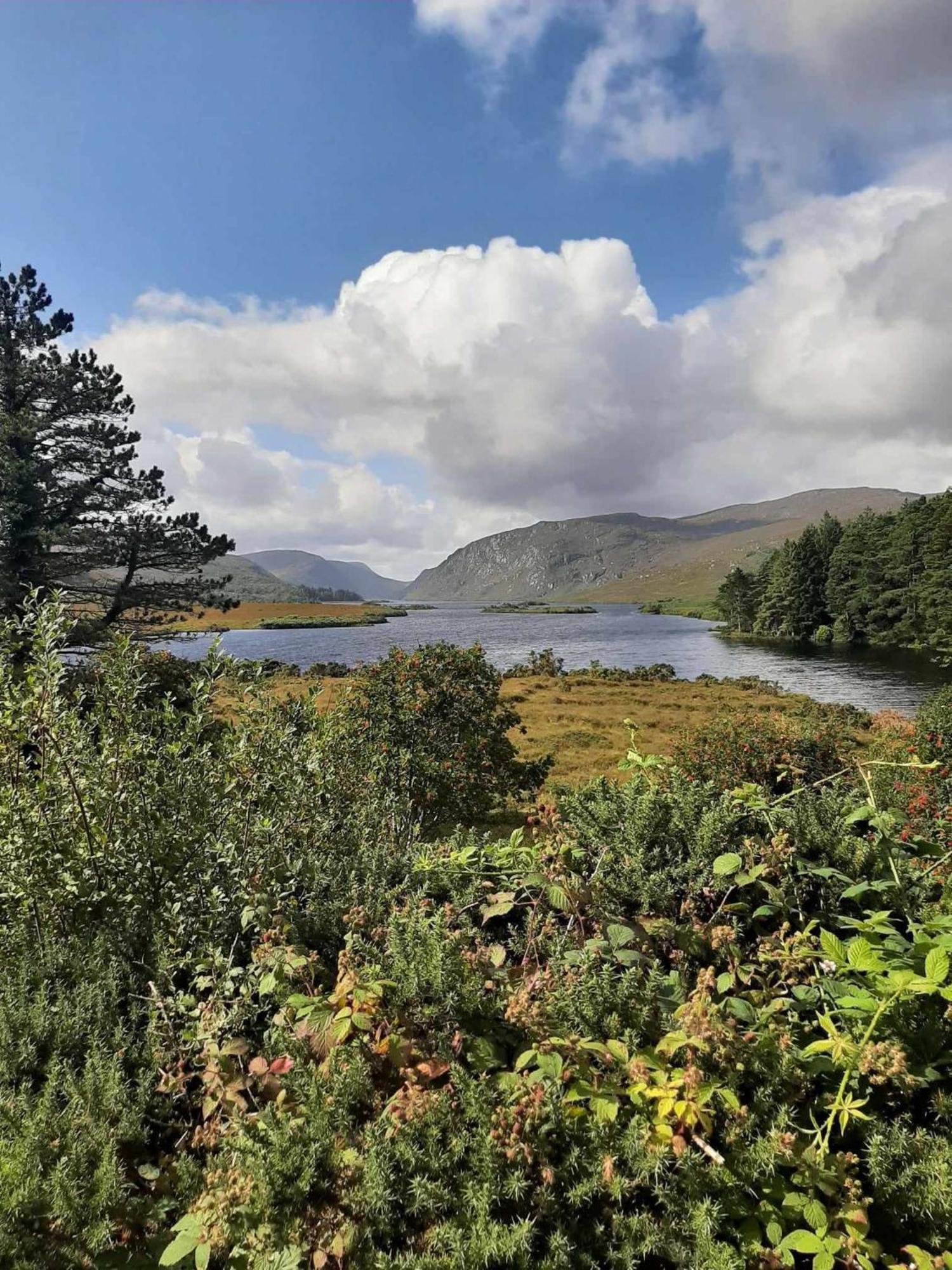 Ivy Lodge Letterkenny Eksteriør bilde